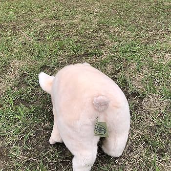 すまいる　せらぴ　ぶた 61oW9fVSJgL._AC_SY200_QL15_.jpg